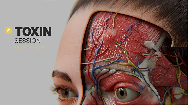Curso de IAER Toxin Session